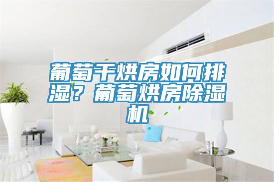 葡萄干烘房如何排濕？葡萄烘房除濕機
