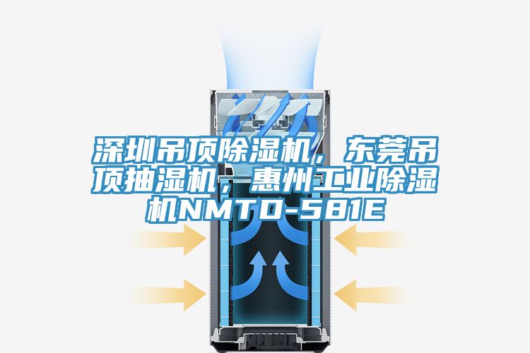 深圳吊頂除濕機(jī)，東莞吊頂抽濕機(jī)，惠州工業(yè)除濕機(jī)NMTD-581E