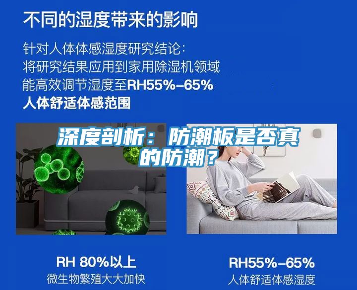 深度剖析：防潮板是否真的防潮？