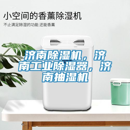 濟南除濕機，濟南工業(yè)除濕器，濟南抽濕機