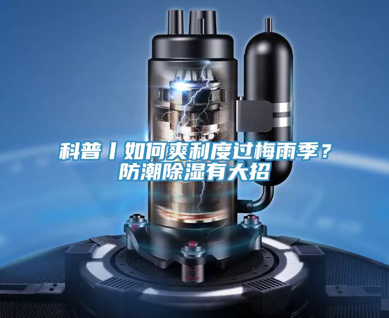 科普丨如何爽利度過梅雨季？防潮除濕有大招