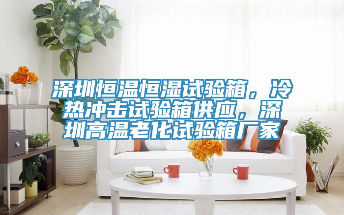 深圳恒溫恒濕試驗箱，冷熱沖擊試驗箱供應，深圳高溫老化試驗箱廠家
