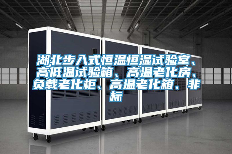 湖北步入式恒溫恒濕試驗室、高低溫試驗箱、高溫老化房、負載老化柜、高溫老化箱、非標