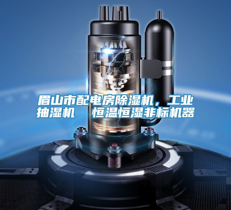 眉山市配電房除濕機，工業(yè)抽濕機  恒溫恒濕非標(biāo)機器