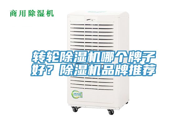 轉輪除濕機哪個牌子好？除濕機品牌推薦