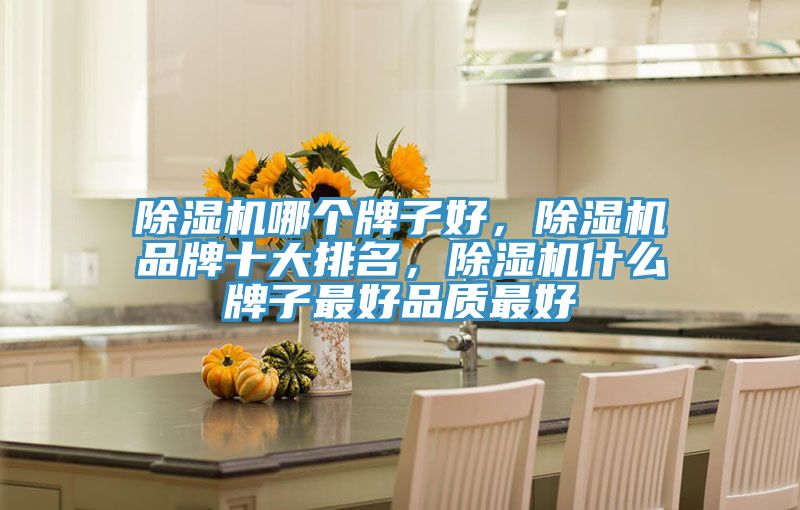 除濕機哪個牌子好，除濕機品牌十大排名，除濕機什么牌子最好品質最好