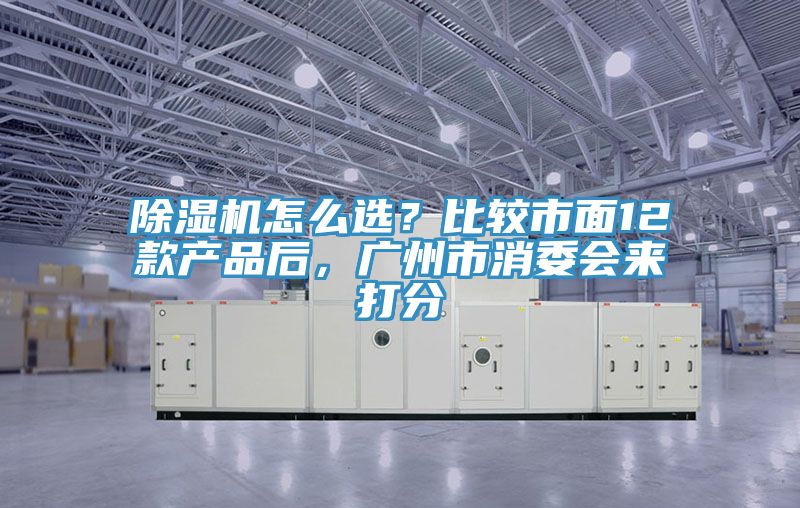 除濕機怎么選？比較市面12款產品后，廣州市消委會來打分