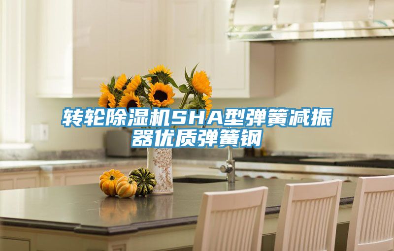 轉(zhuǎn)輪除濕機SHA型彈簧減振器優(yōu)質(zhì)彈簧鋼