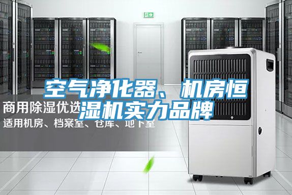 空氣凈化器、機房恒濕機實力品牌
