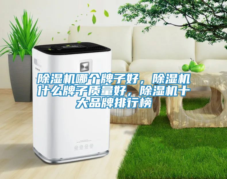 除濕機哪個牌子好，除濕機什么牌子質(zhì)量好，除濕機十大品牌排行榜